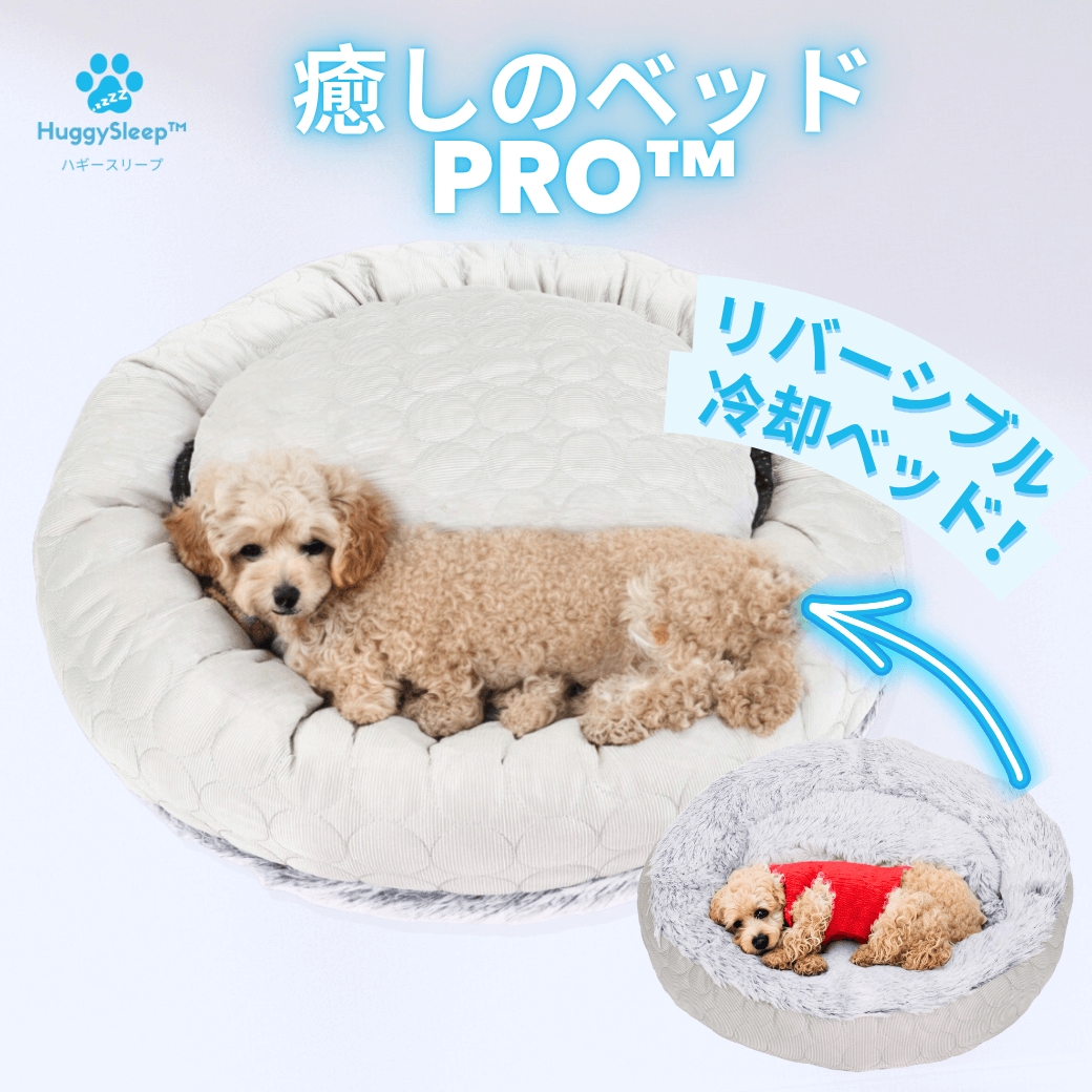 癒しのソファ™ 】 – HuggySleep™